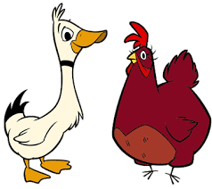 A galinha e o pato